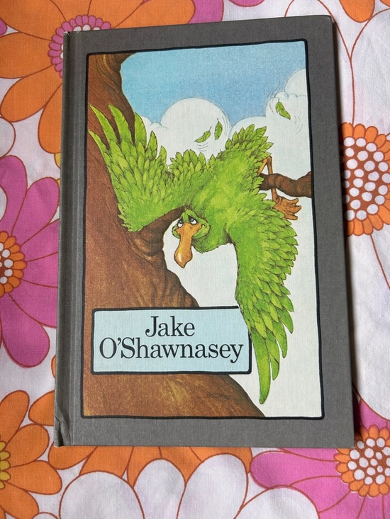 Serendipity Other - 2 for $25 Vintage Serendipity Jake O'Shawnasey Green Parrot Hardcover book.